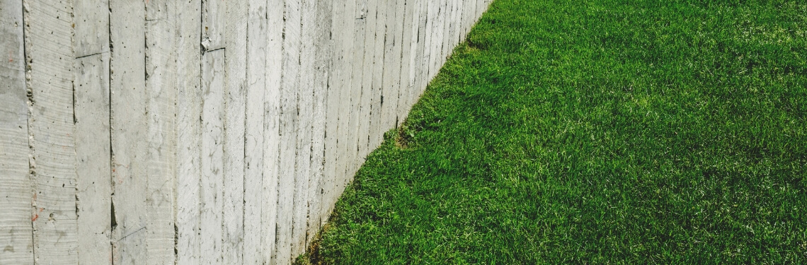 trawnik i betonowe ogrodzenie
